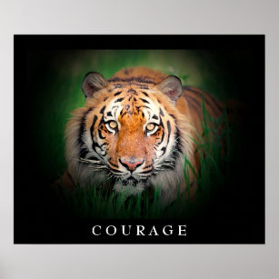 Poster Courage motivationnel Tiger Yeux