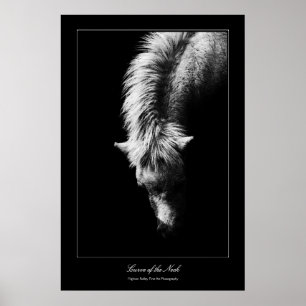 Poster Courbe D'Art Du Cou, style galerie