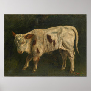Poster Courbet - Le Veau