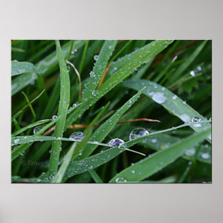 Poster Coureur de lames