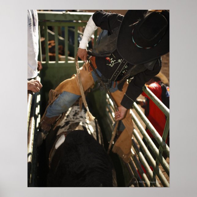 Poster Coureur de taureau fixation corde sur taureau dans (Devant)