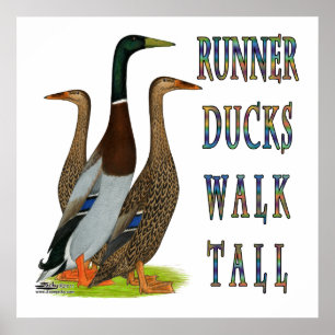 Poster Coureurs Canards Marcher Haut