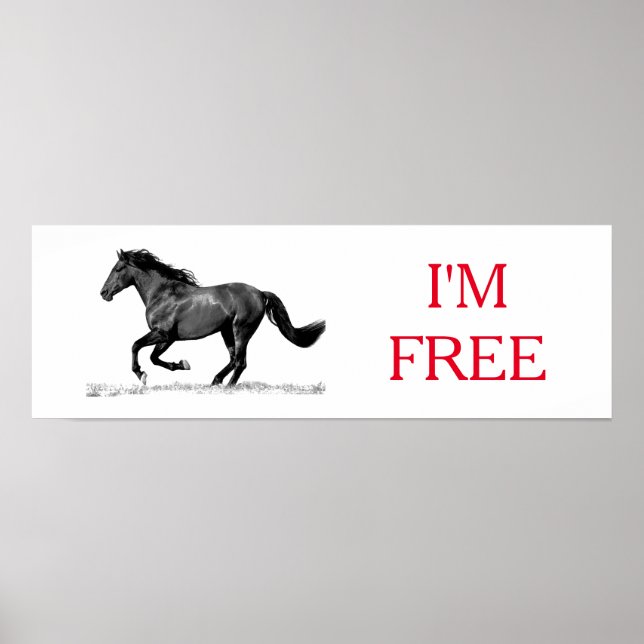 Poster Courir le cheval noir blanc Je suis libre (Devant)