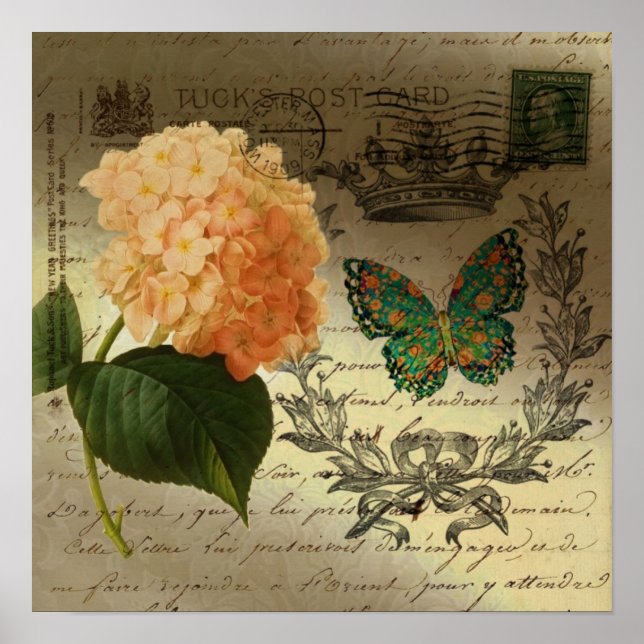 Poster Couronne papillon d'Hydrangea pays français (Devant)
