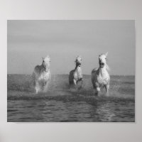 Course, chevaux blancs, océan, photographie d'art