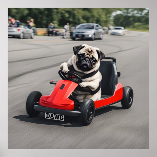 Poster course de go-kart carlin (Devant)