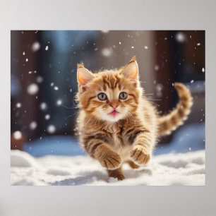 Poster *~* Course de neige Kitty 5:4 Chat Kitten AP68