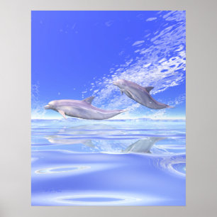 Poster Course des dauphins