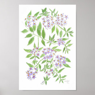 Poster coussin d'arbre de pomme de terre chilien