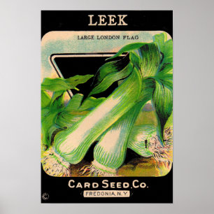 Poster Couverture de l'enveloppe de la société Card Seed 