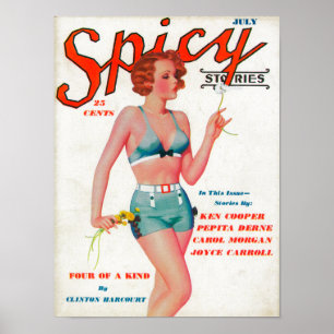 Poster Couverture de magazine épicé