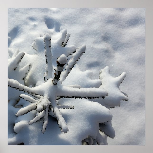 Poster Couverture de neige (Devant)