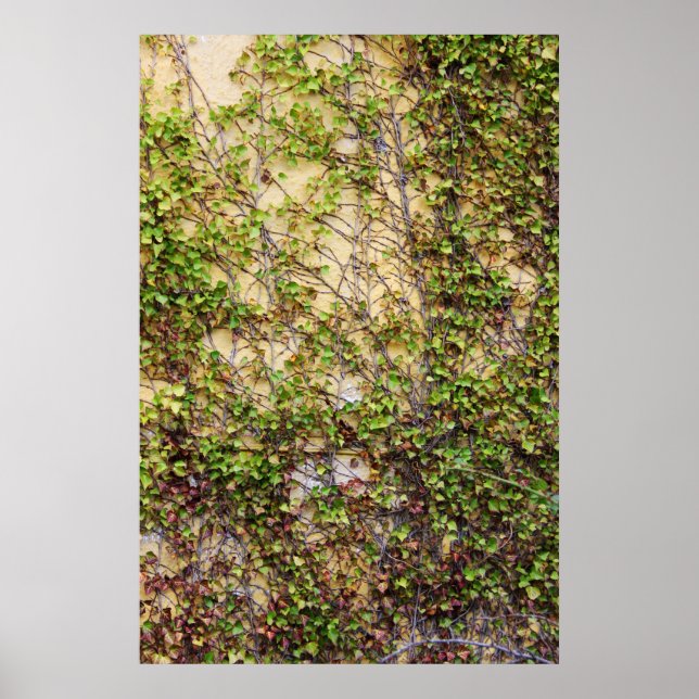 Poster Couverture murale - Irlande (Devant)