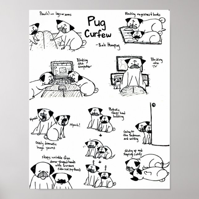 Poster Couvre-carlin (Devant)