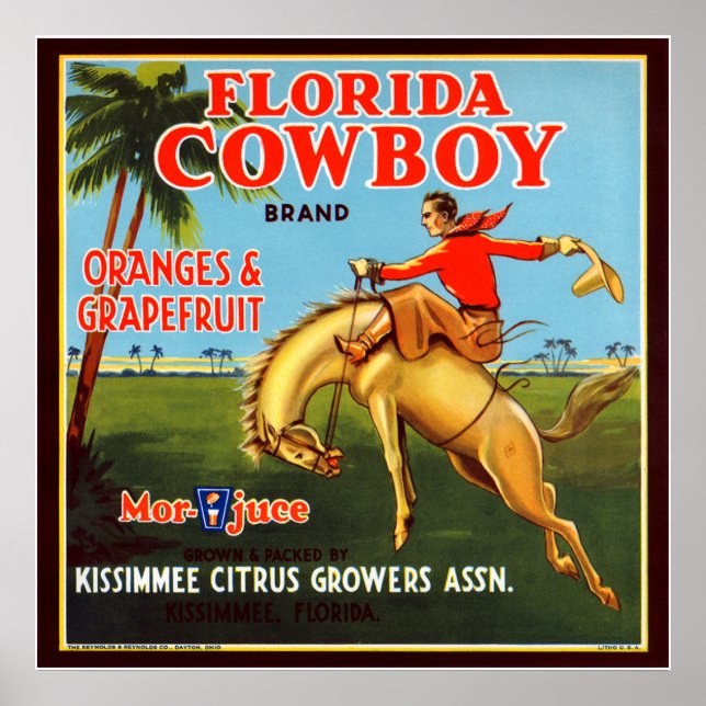 Poster Cow-boy de Floride (Devant)