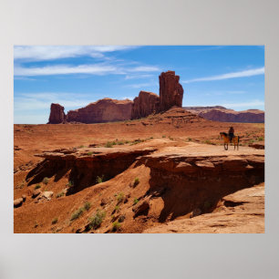 Poster Cow-boy solitaire