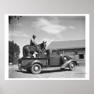 Poster Cowboy avec cheval dans un camion