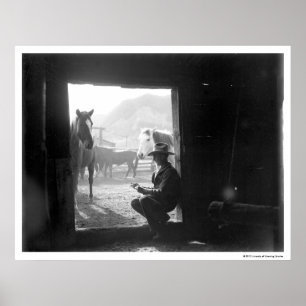 Poster Cowboy dans une porte avec des chevaux