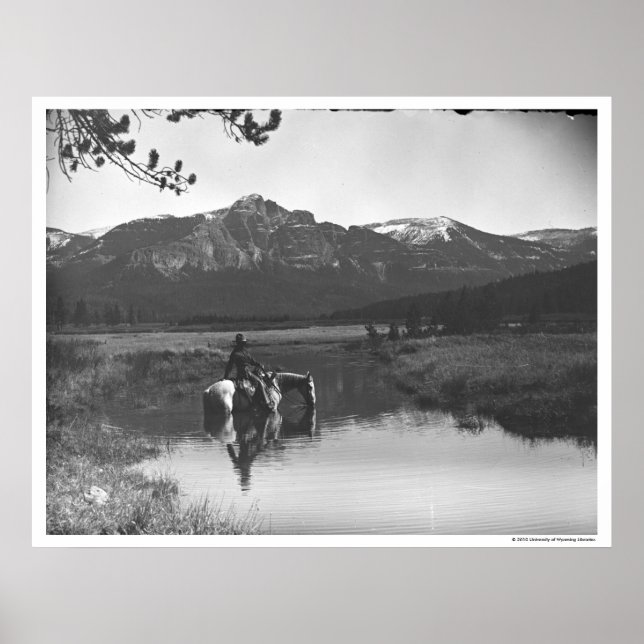 Poster Cowboy et cheval dans un étang (Devant)