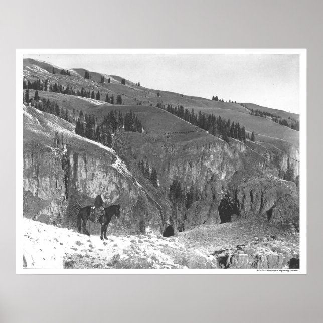 Poster Cowboy s'est séparé de son troupeau. (Devant)