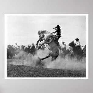 Poster Cowboy sur un bronco cinglé