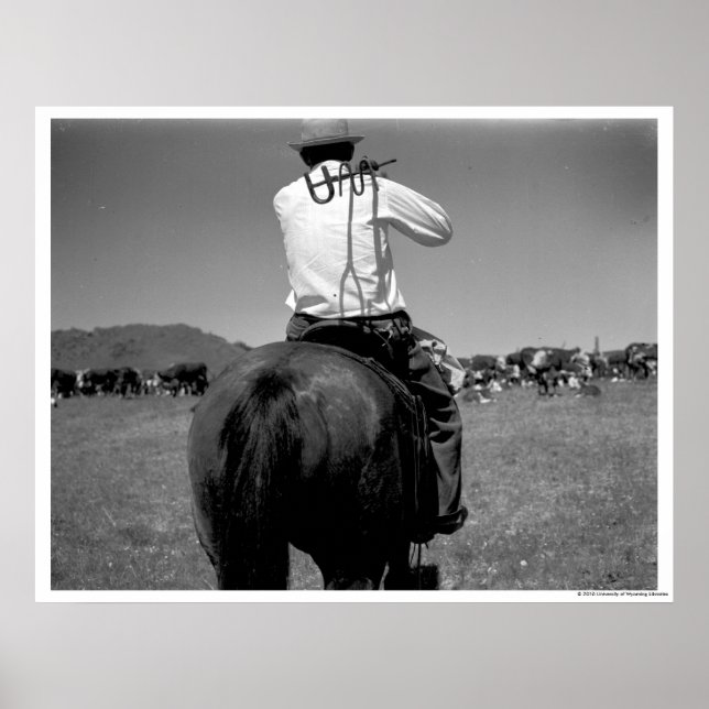 Poster Cowboy sur un cheval avec deux marques. (Devant)