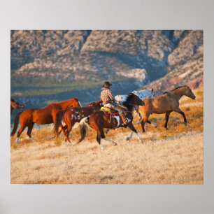 Poster Cowboy vivant en troupe les chevaux sauvages 2