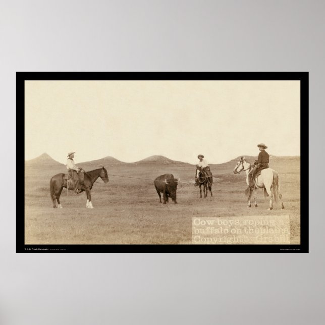 Poster Cowboys Roping A Buffalo SD 1887 (Devant)