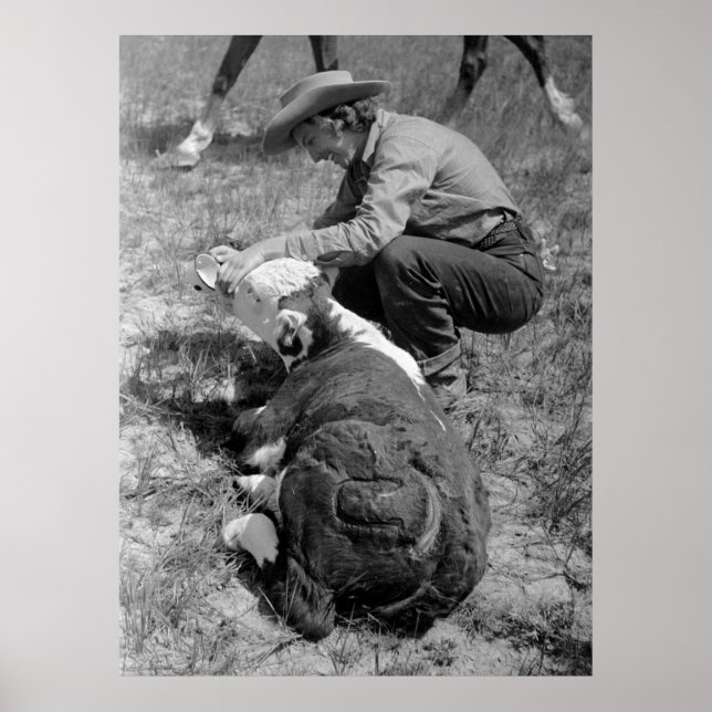 Poster Cowgirl Giving TLC, années 1930 (Devant)