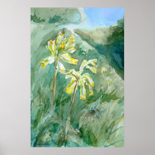 Poster Cowslips Primula veris sur une berge herbacée