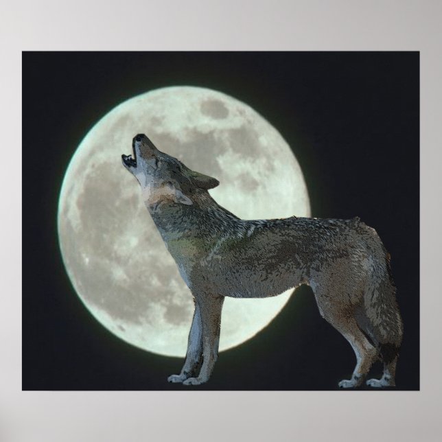 Poster Coyote Howling sur la lune (Devant)