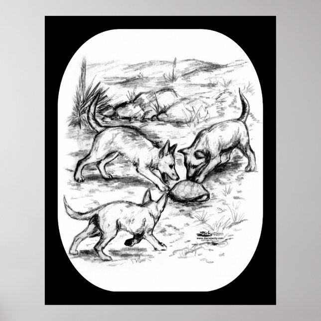 Poster Coyote Pups (Devant)