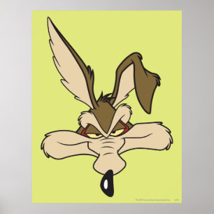Poster COYOTE WILE E. ™ Fierté de la photo de profil