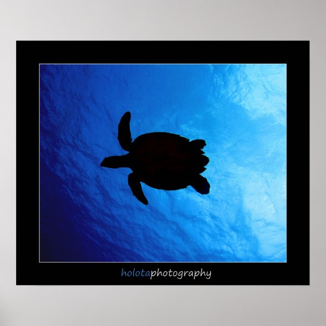 Poster Cozumel - Hawksbill #011 (Devant)