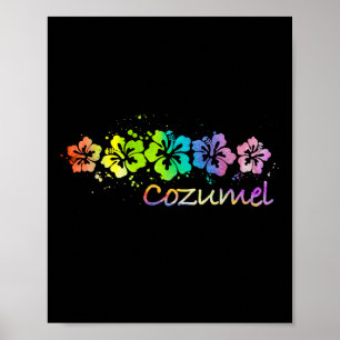 Poster Cozumel, Mexique Watercolor Beach & Surf