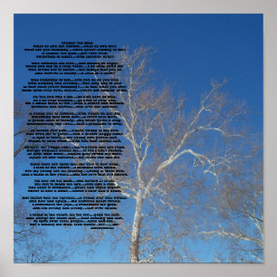 Poster Crabby Old ManQue voyez-vous nur... - Customisé