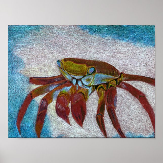 Poster Crabe (Devant)