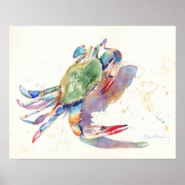 Poster Crabe aquarelle (Devant)