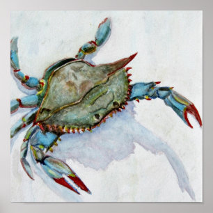 Poster Crabe bleu