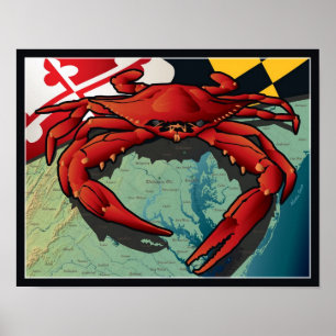Poster Crabe citoyen du Maryland