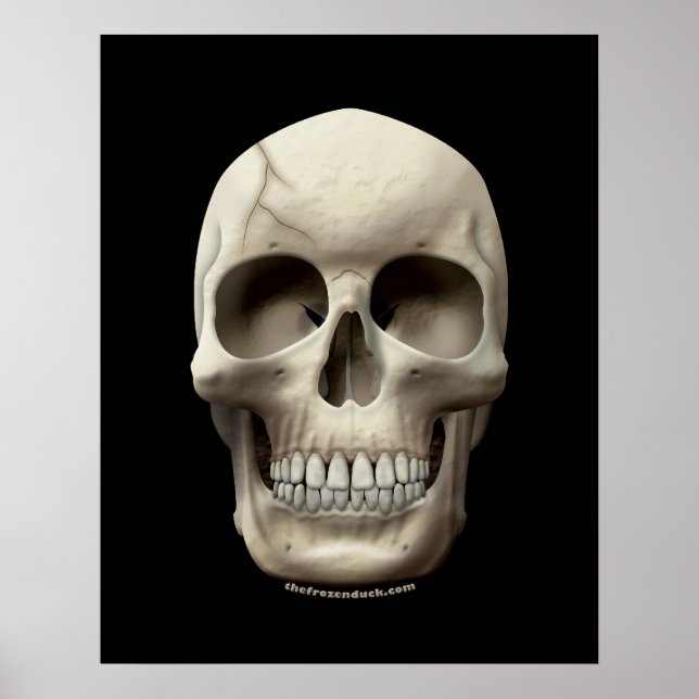 Poster Crack (Devant)