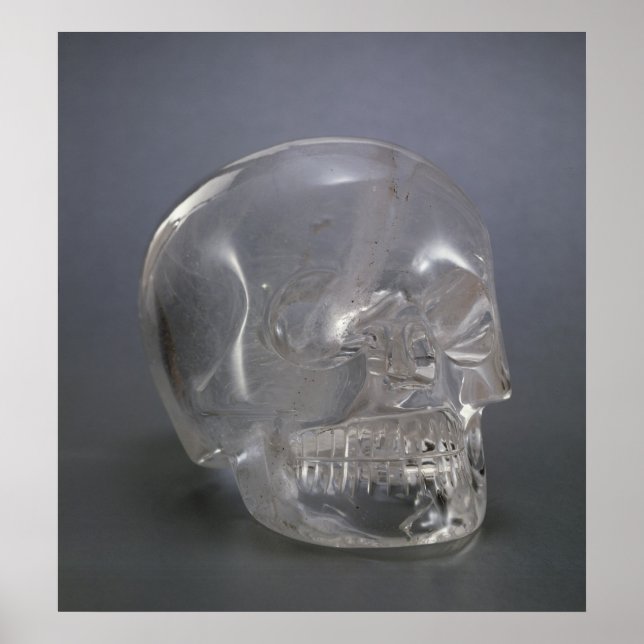 Poster Crâne (Devant)