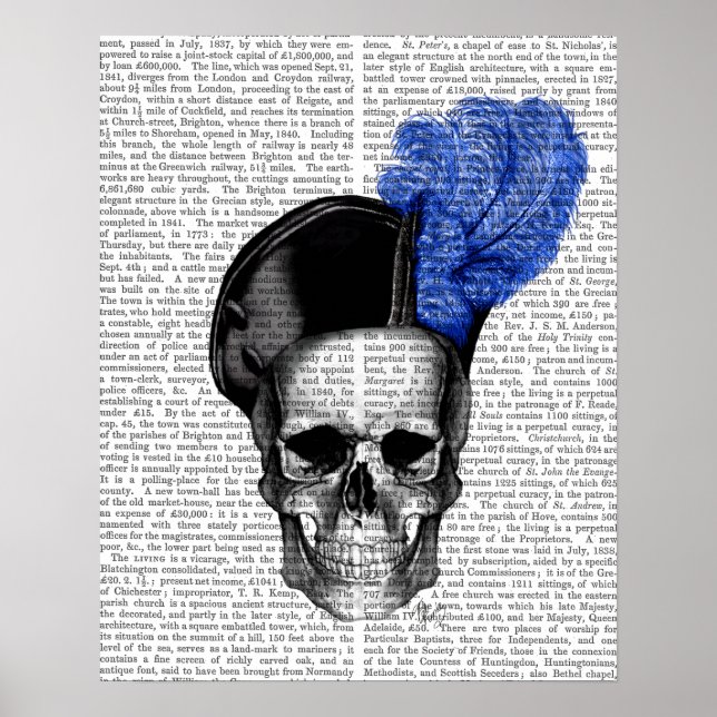 Poster Crâne avec Casquette bleu (Devant)