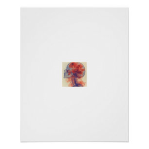 Poster Crâne de champignons Anatomie Art X-Ray