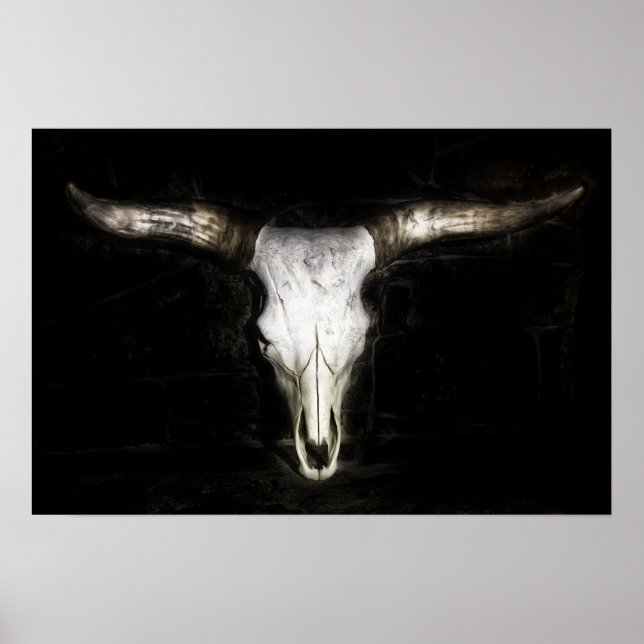 Poster Crâne de vache (Devant)