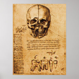 POSTER CRÂNE ET DENTS, CLINIQUE DENTAIRE, DENTISTE