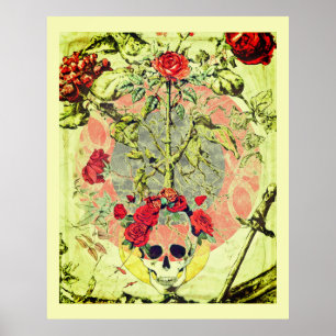 Poster Crâne et rosier