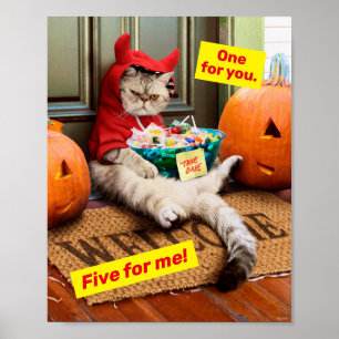 Poster Cranky Devil Cat