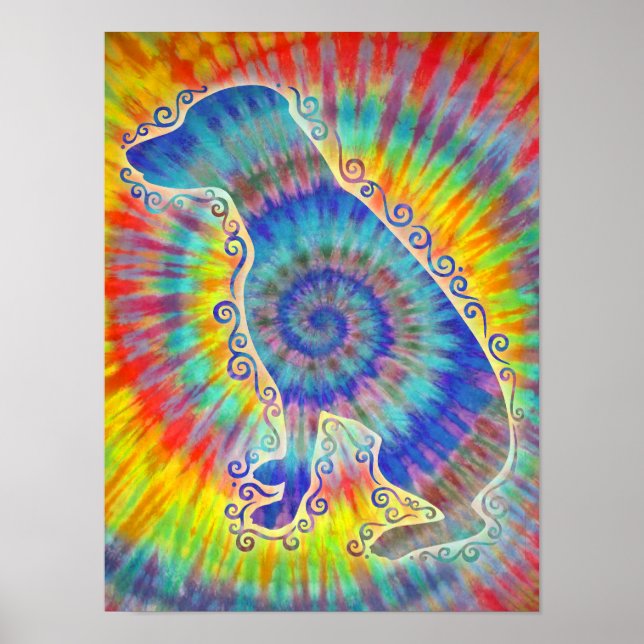 Poster Cravate-Dobe (Devant)