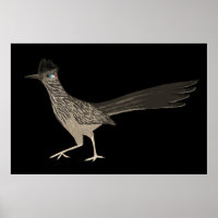 Crayon coloré de Roadrunner dessin sur noir